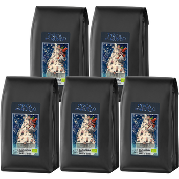 5x Cachoeira yerba mate sezonowana 500g | ORGANIC - FAIR TRADE | Pizca del Mundo